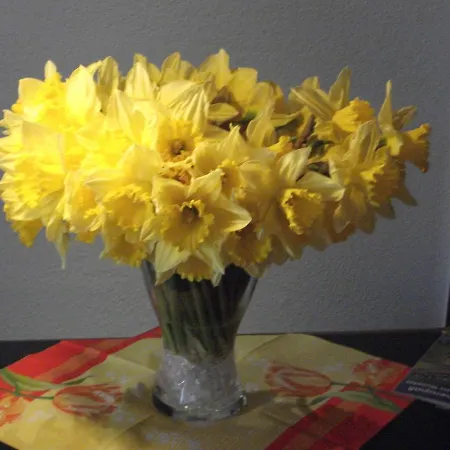 Landgasthof Dockemeyer Hotel Hollenermoor